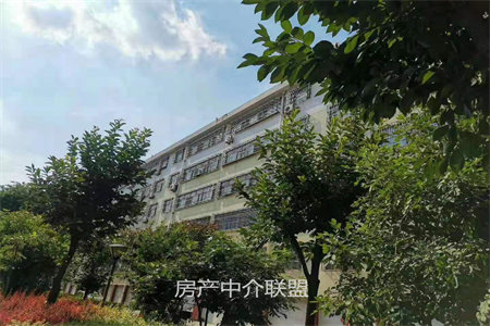 出售泰安岱岳花园B区2室1厅1卫72平简单装修